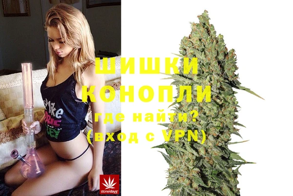 трава Надым