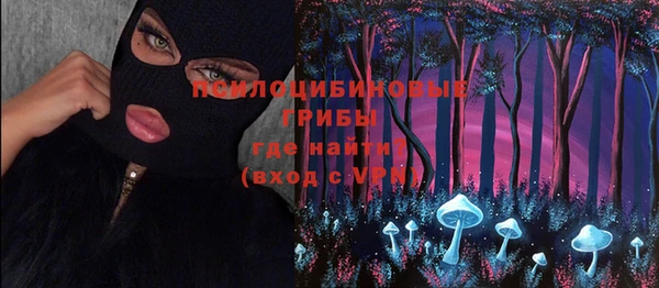 трава Надым