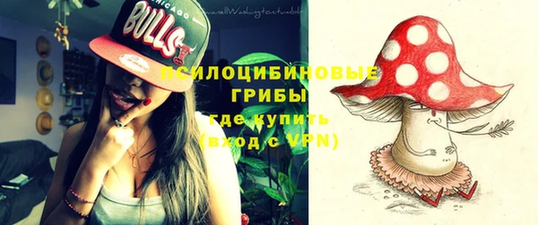 PSILOCYBIN Навашино