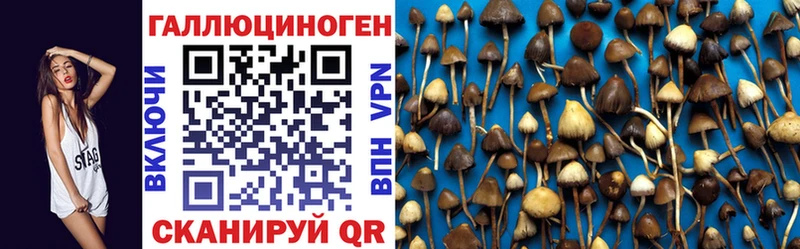 наркотики  Медынь  Галлюциногенные грибы мухоморы 